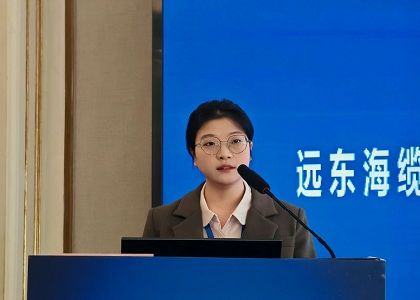 沐鸣2海缆受邀出席2025海上风电产业链发展大会暨第六届...